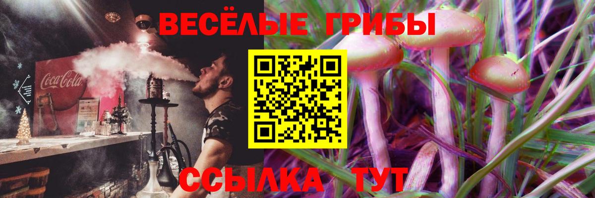 Галлюциногенные грибы Cubensis  Вход с VPN  Псилоцибиновые грибы Psilocybe  Строитель 